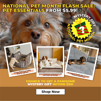//swift-build-theme.myshopify.com/cdn/shop/files/funnyfuzzy-pet_month-banner-1_2.webp?v=1715278889&width=430